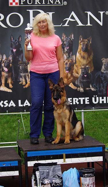 Зависть Богов Явонне 